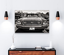 Obraz Ford Mustang zs1010